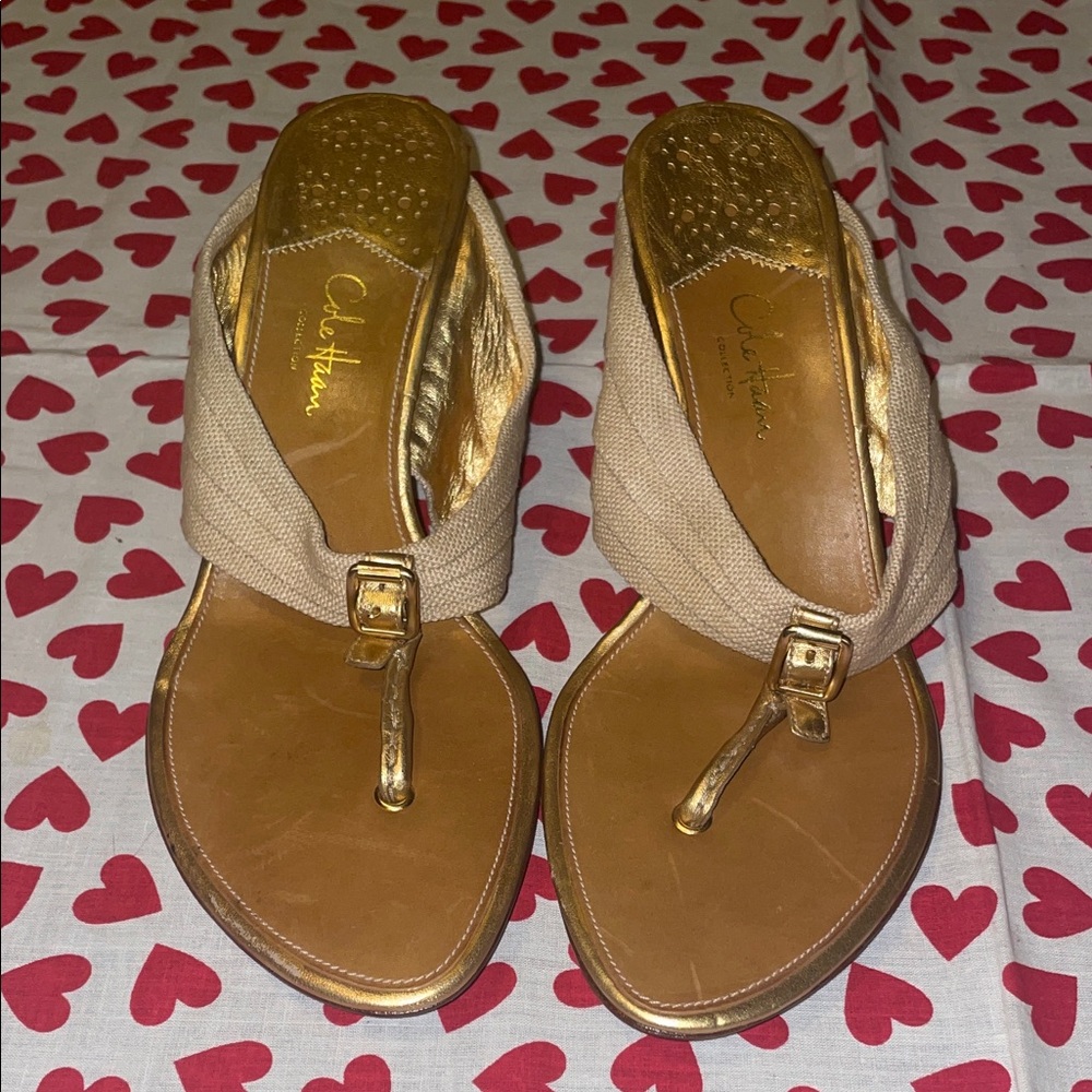 Cole Haan/ Nike air heeled thong sandals (8B)